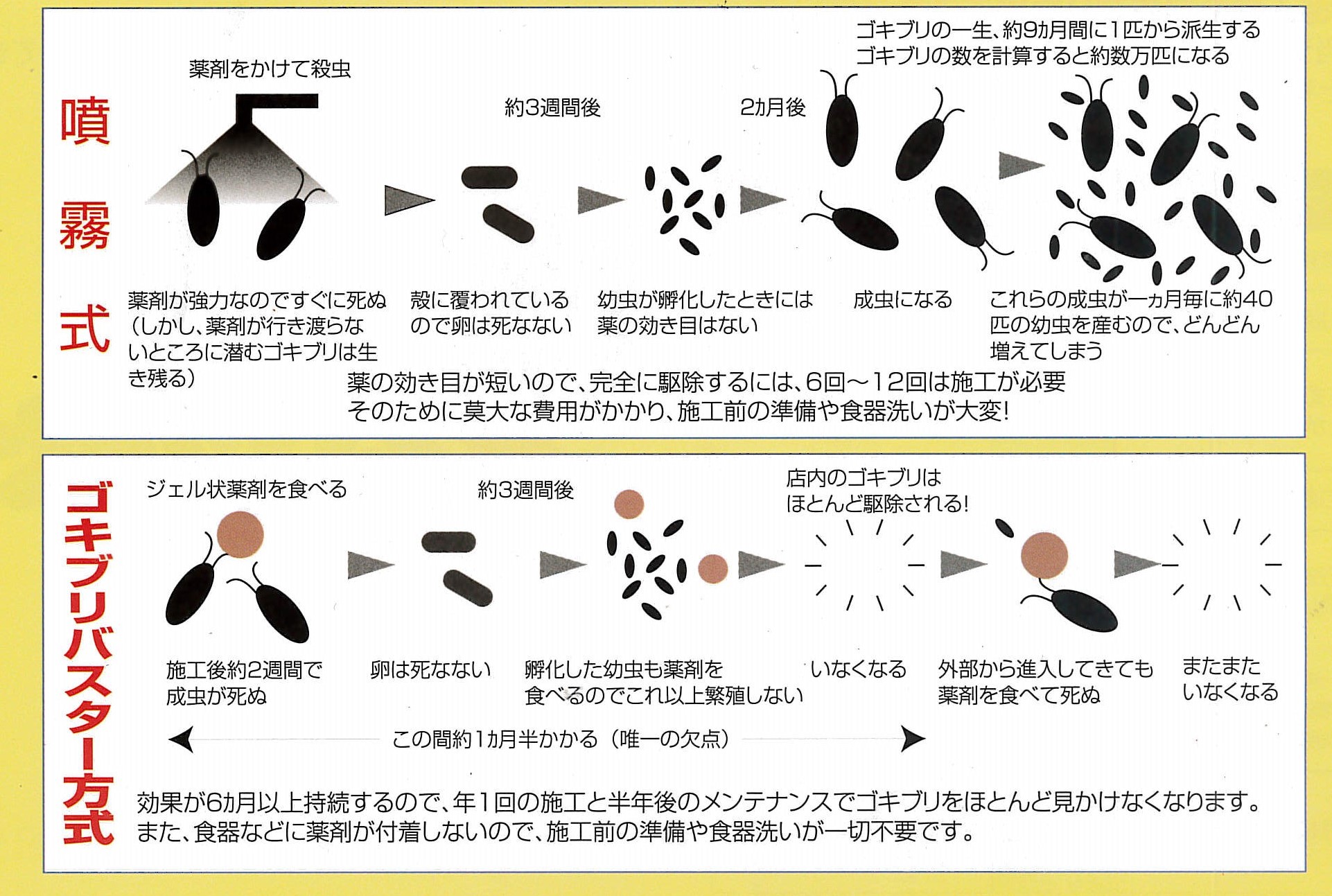 ゴキブリ駆除 Tmc